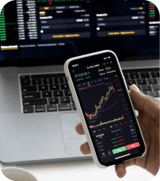 Analise o impacto do seu investimento